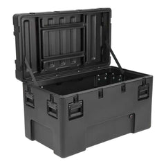 rSeries 4222-24 Case